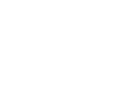 Logo ICCN